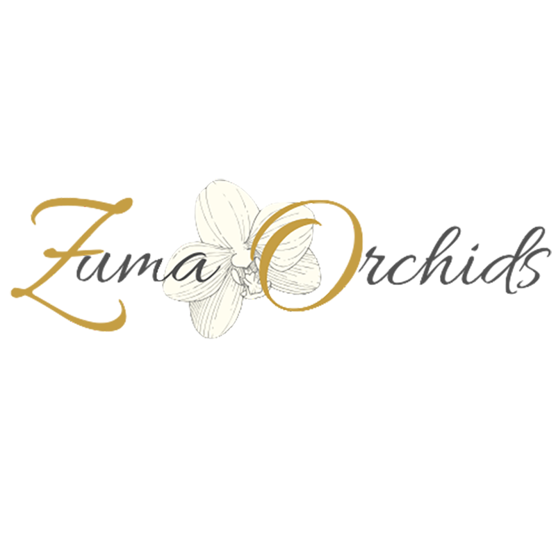 zuma orchids